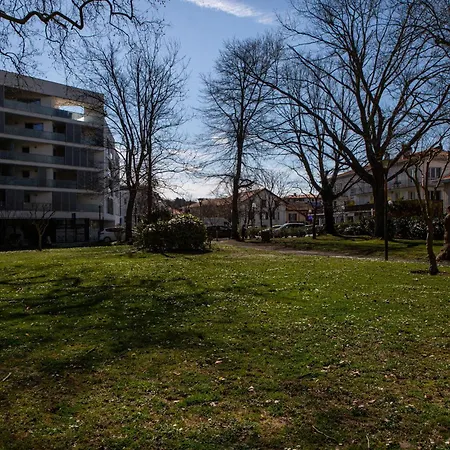 Lumineux Avec Terrasse Au Calme En Hyper Centre.